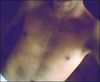 aloha64 Homme bi 36 ans Saint-Jean-de-Luz
