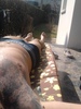 georgesdav Homme 45 ans Dunkerque