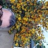HEINTZ Homme 43 ans Saint-Cast-le-Guildo