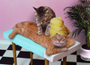 MAIN-DOUCE Homme 55 ans P�zenas