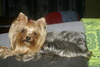 mimitom47 Couple les 2 bi 48 et 51 ans Agen