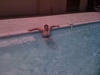 nateric83 Homme 43 ans Saint-Raphaël