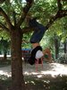 PHEONIX Homme 35 ans P�rigueux