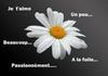 59lorenzo Homme 45 ans Tourcoing