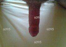 6095 - Homme bi coquin - Chambly