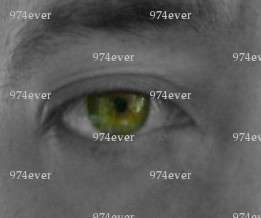974ever - Homme candaulisme - Chevilly-Larue