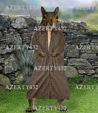 AZERTY432 - Homme bi coquin - Nantes