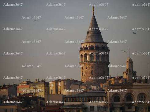 Adamo3647 - Homme coquin - Haguenau