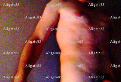 Aligato83 - Homme mélangiste - Toulon