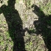 AnnAl Couple 51 et 51 ans Castelnaudary