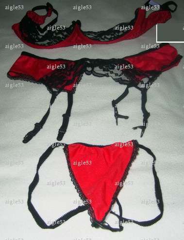 aigle53 - Couple bi BDSM - Ernée