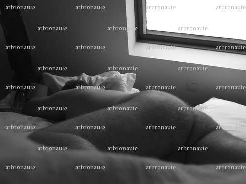 arbronaute - Homme candaulisme - Hazebrouck