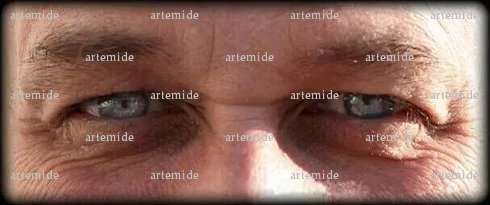 artemide - Homme coquin - Auray