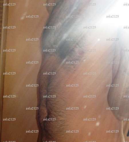 asla2125 - Homme coquin - Roybon