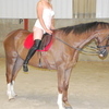audomarus Couple Femme bi 45 et 46 ans Moulle