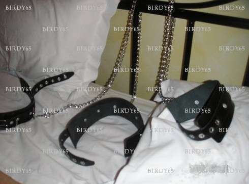 BIRDY65 - Homme BDSM - Tarbes
