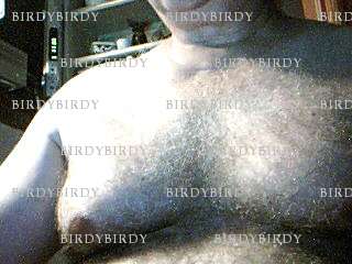 BIRDYBIRDY - Homme coquin - Marennes