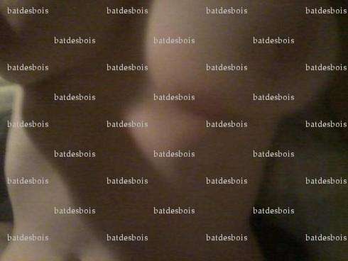batdesbois - Couple candaulisme - Calais