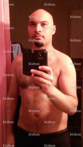 bichon - Homme coquin - Paris