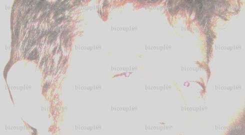 bicoupl69 - Couple bi mélangiste - lamure sur azergue