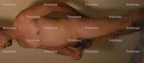 boninza - Homme mélangiste - Limoges