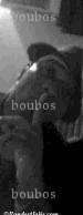 boubos - Homme mélangiste - Paris