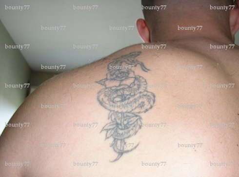 bounty77 - Homme bi échangiste - La Roche-sur-Yon
