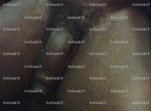 boblack13 - Homme échangiste - Marseille