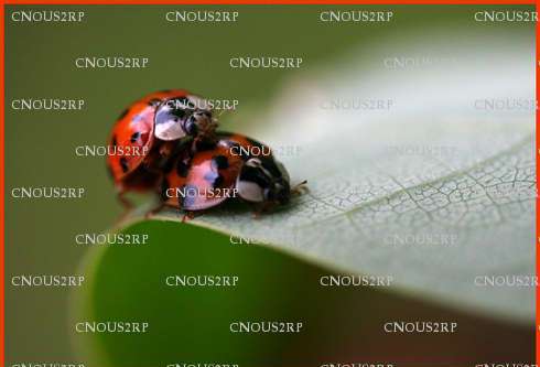 CNOUS2RP - Couple échangiste - Thiais