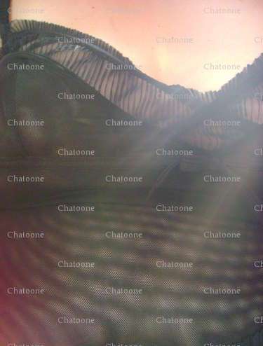 Chatoone - Femme bi Libertine échangiste - Arras