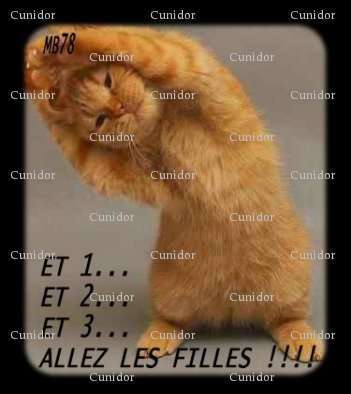 Cunidor - Homme bi candaulisme - Sartrouville