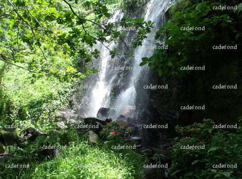 cadefond - Homme coquin - Valence