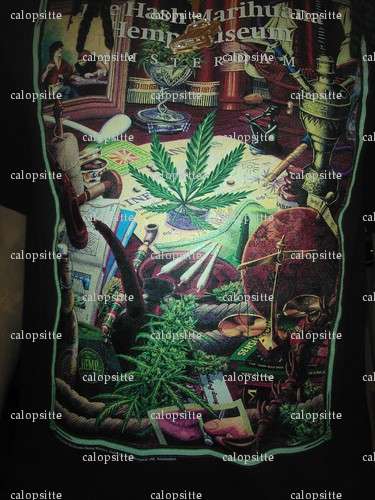 calopsitte - Couple bi coquin - Lille