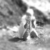 cellya05 Femme bi 34 ans Brian�on