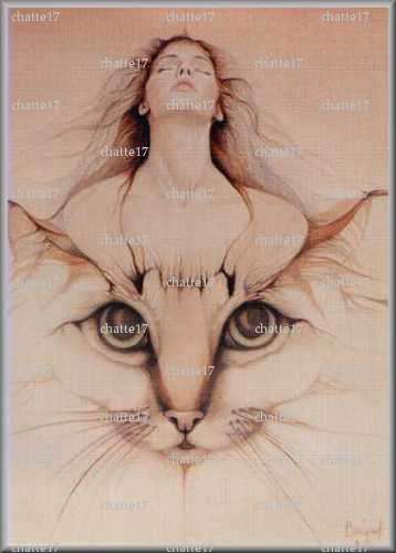 chatte17 - Homme candaulisme - Rochefort