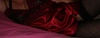 cokins3324 Couple 52 et 49 ans Bergerac