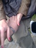 coupledoul Couple 38 et 35 ans Neuilly-sur-Seine