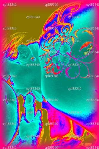 cpl85340 - Couple bi BDSM - Olonne-sur-Mer
