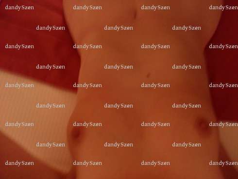 dandySzen - Couple BDSM - Boisemont