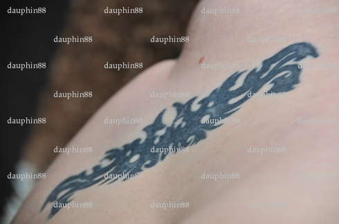 dauphin88 - Couple échangiste - Damblain