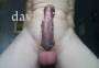 david33 - Homme coquin - Bordeaux