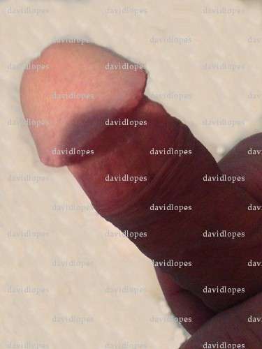 davidlopes - Homme coquin - Ezanville