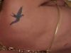 didnatha Homme 41 ans Avesnes-l�s-Bapaume