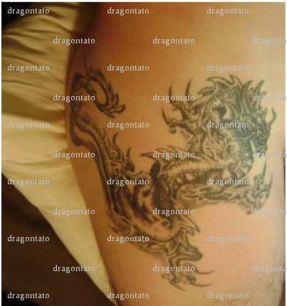 dragontato - Homme coquin - Angoulême