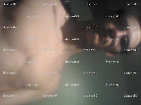 drazor80 - Homme coquin - Abbeville