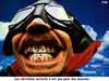 eldiable59 Homme 40 ans Avesnes-sur-Helpe