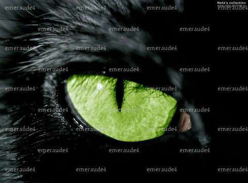 emeraude4 - Homme candaulisme - Reims