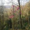 entrejambe Homme 33 ans Chevreuse