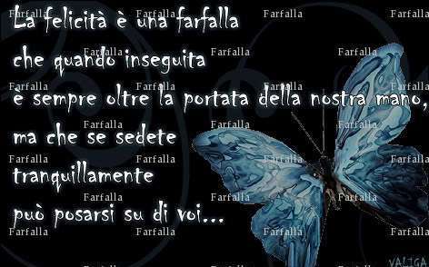 Farfalla - Femme candaulisme - Lille