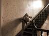 Fredkalin Homme bi 43 ans Amb�rieu-en-Bugey